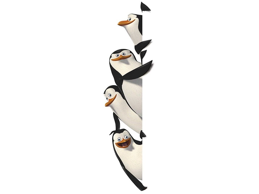 PINGUINS DE MADAGASCAR animação comédia aventura família papel de parede HD