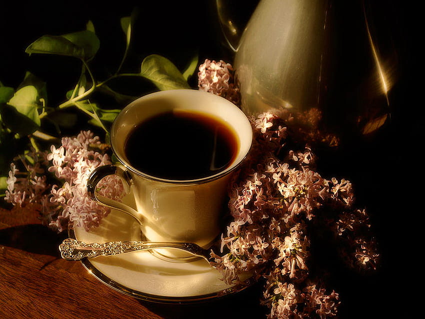 Kahve ve leylaklar, sabah, leylaklar, kahve, çiçekler, sabah kahvesi, bir fincan kahve HD duvar kağıdı