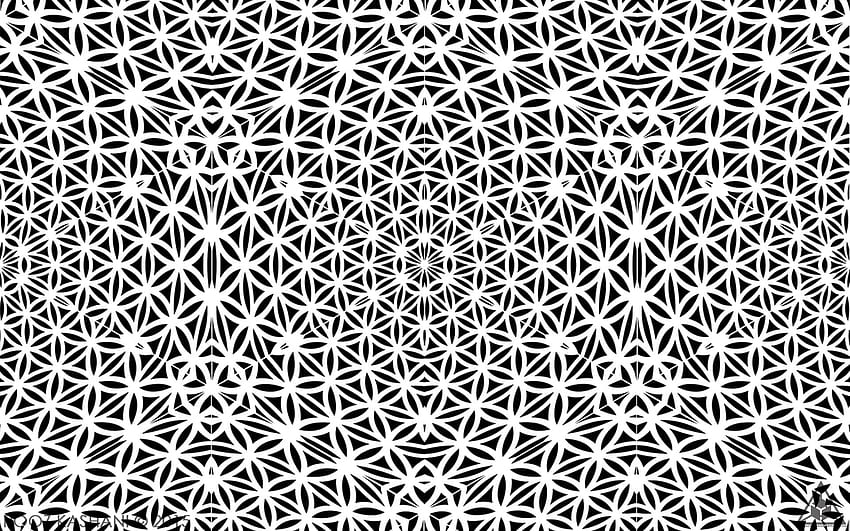 Sacred Geometry, Geometric Mandala HD wallpaper