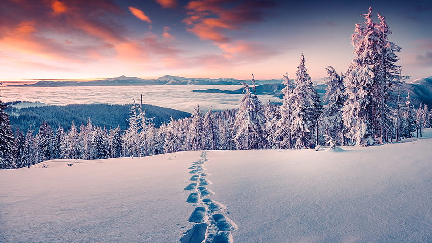 Hình nền mùa đông Thụy Sĩ sẽ khiến bạn liên tưởng đến những ngày đông se lạnh đầy tuyết trắng của vùng núi cao, nơi có phong cảnh tuyệt đẹp và hòa quyện giữa thiên nhiên và con người.