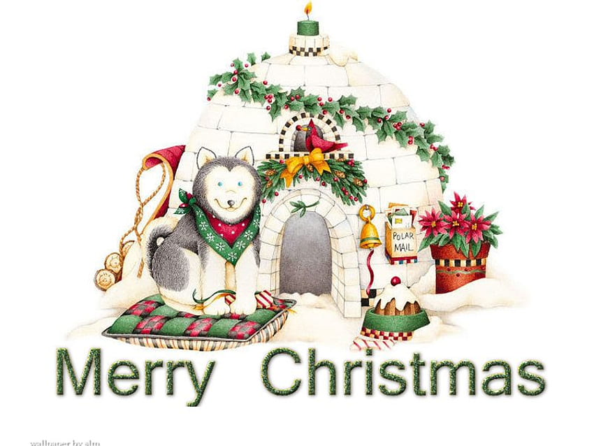 Merry Christmas Indiago, dog, merry christmas, huskey, flowers, igloo HD wallpaper