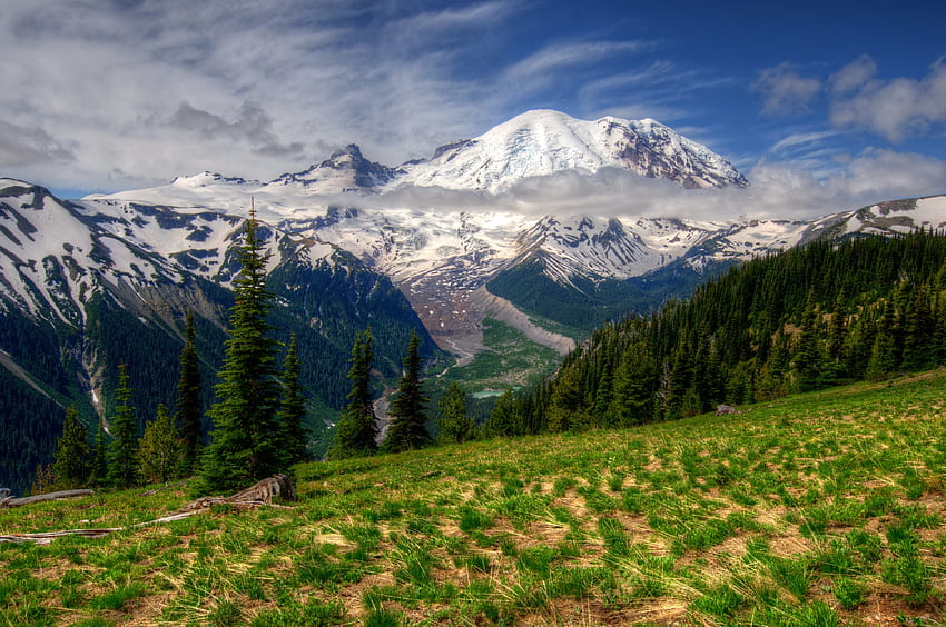 Landschaft, Natur, Gras, Berge, rechts, Washington, Mt. Rainier HD-Hintergrundbild
