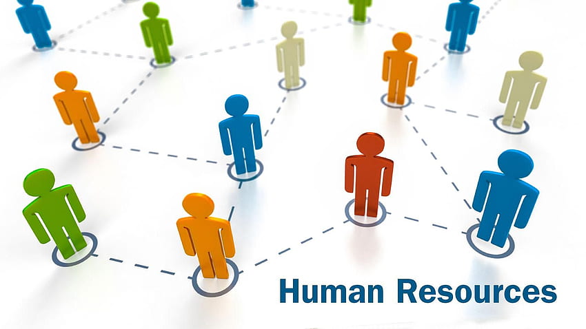 Human Development Background. Human, Human Resources HD wallpaper