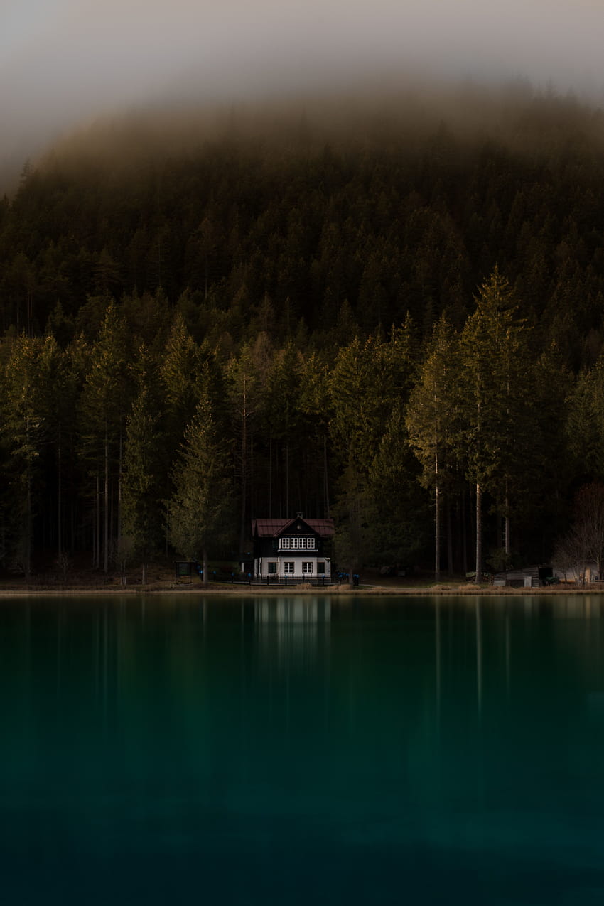 自然, 湖, 海岸, 銀行, 霧, 家, 暗い HD電話の壁紙