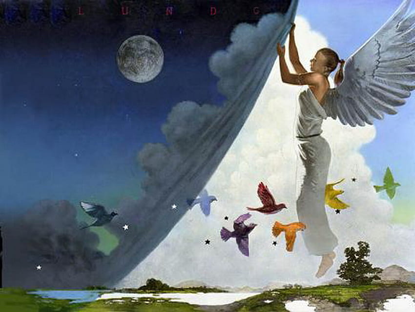 night and day, night, day, dove, moon, angel, surreal, cloud HD wallpaper