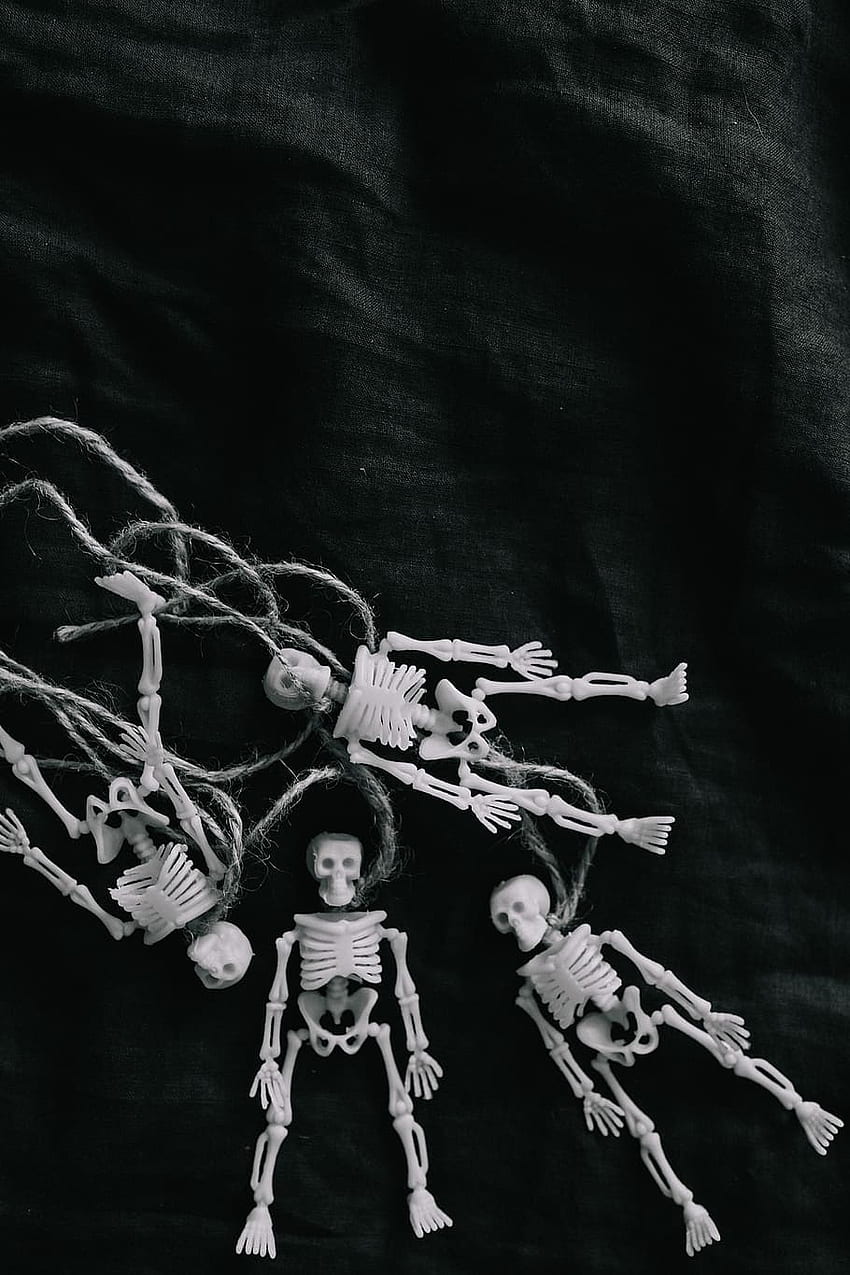 : Halloween - Human skeleton miniatures, toy, skull, spooky, october, Cool Minimalist Skeleton HD phone wallpaper
