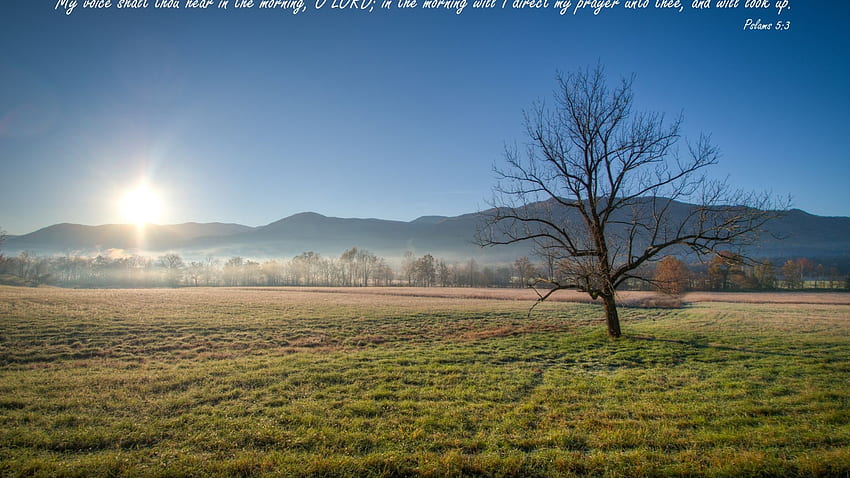 Psalms 53 My voice Christian and Background [] for your , Mobile & Tablet. Explore Cades Cove . Smoky Mountain , Smoky Mountains Spring, I Can Hear Your Voice HD wallpaper