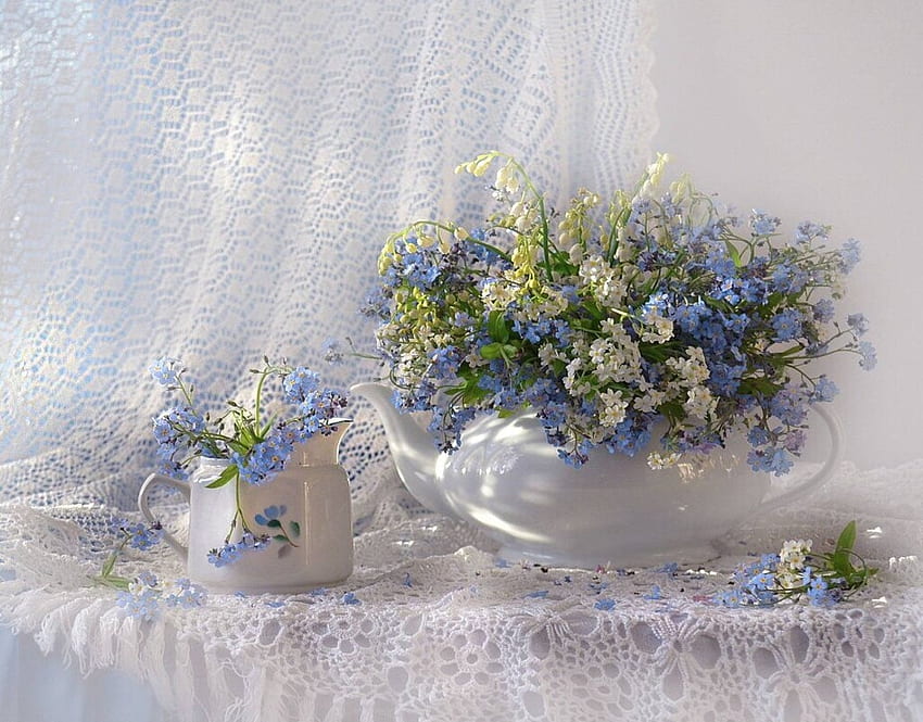 Vergissmeinnicht, Blumen, Vase, , Frühling HD-Hintergrundbild