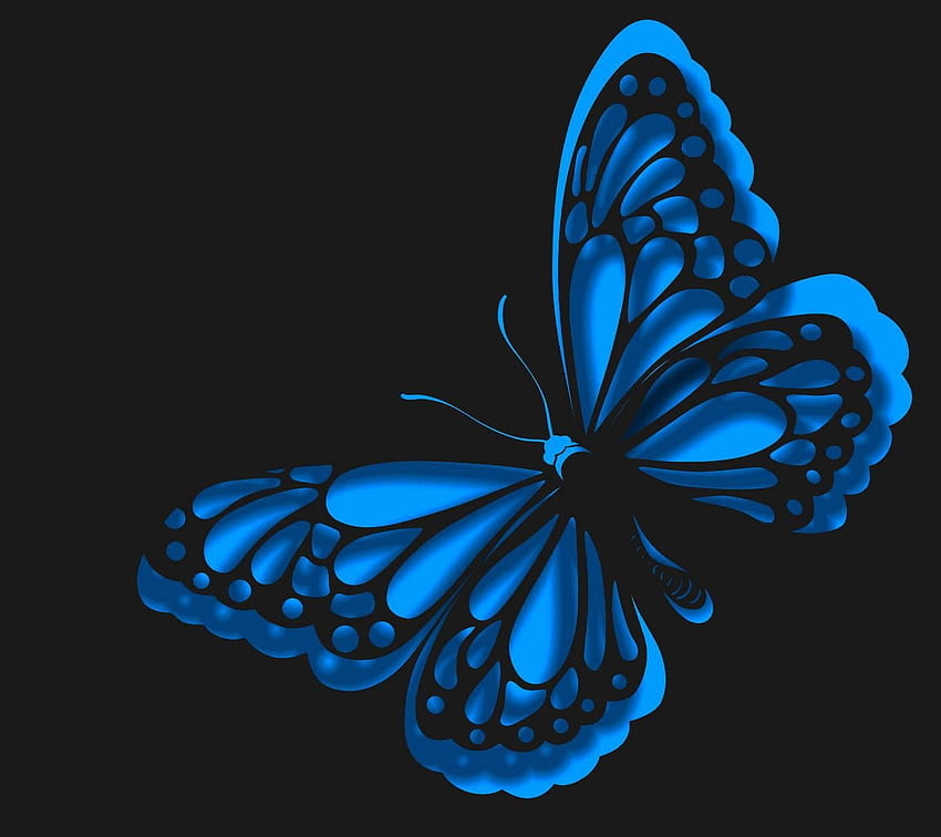 Blue Butterfly , Dark Blue Butterfly HD wallpaper