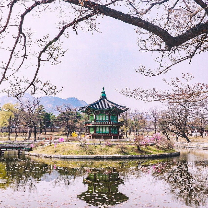 Wiosna w Korei: 40 do przekonania To najlepszy czas na wizytę w Korei Południowej. Korea Południowa, podróże po Korei Południowej, Korea starożytna, Korea Palace Tapeta na telefon HD