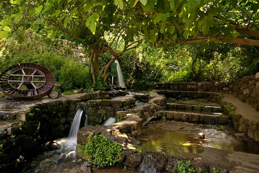 Peaceful Garden, plants, wheel, garden, bushes, waterfalls, rocks, stones, trees, pond HD wallpaper