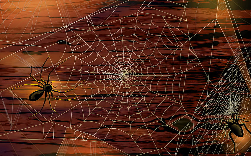45 Scary Halloween 2012 Pumpkins Witches Spider Web [] for your , Mobile & Tablet. Explore Spider . Spider Man , Spiderman for , Animated Spider , Scary Spiderman HD wallpaper