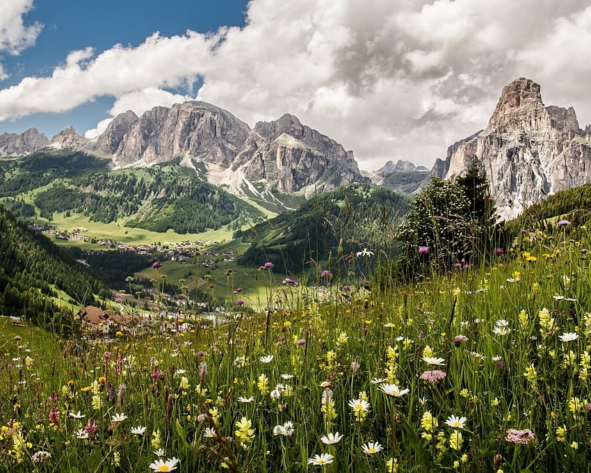 Mountain Meadow, snow, landscape, clouds, meadow, nature, flowers, mountains HD wallpaper