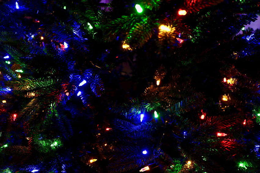 Празници, Нова година, Многоцветни, Пъстри, Коледа, Коледна елха, Гирлянди, Декорация, Гирлянди HD тапет
