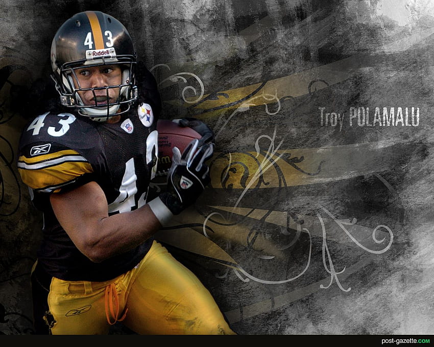 Steelers Troy Polamalu Google Steelers HD wallpaper  Pxfuel