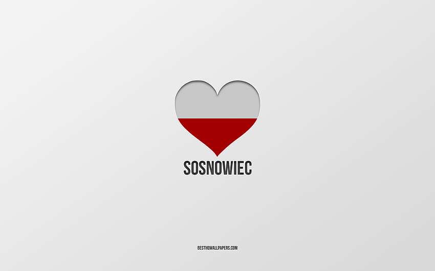I Love Sosnowiec, Polish cities, Day of Sosnowiec, gray background, Sosnowiec, Poland, Polish flag heart, favorite cities, Love Sosnowiec HD wallpaper