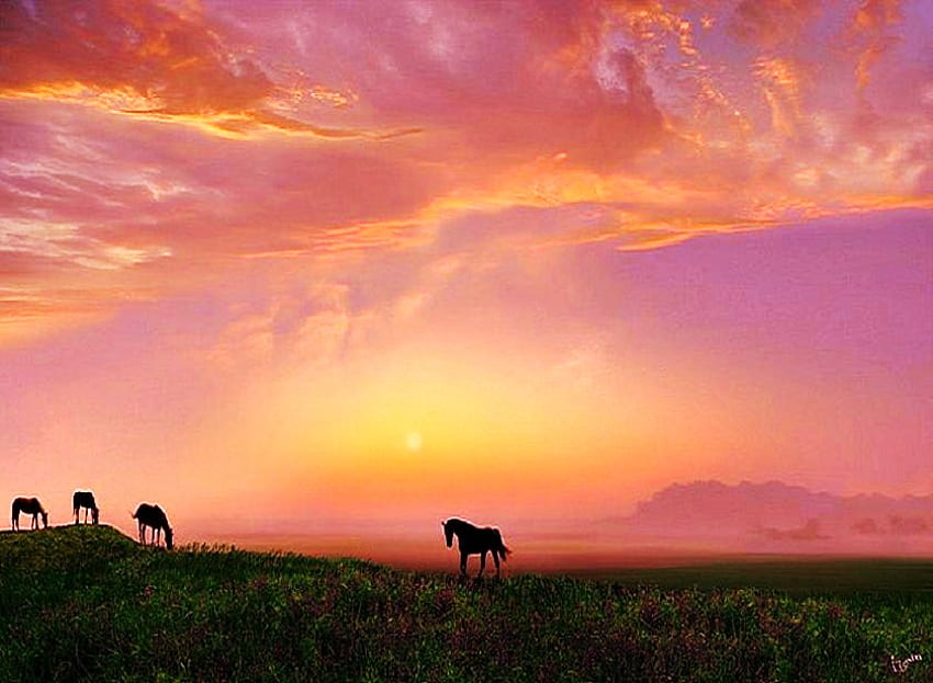 Evening grazing, blue, coral, grass, pink, horses, clouds, colored sky, hill, grazing HD wallpaper