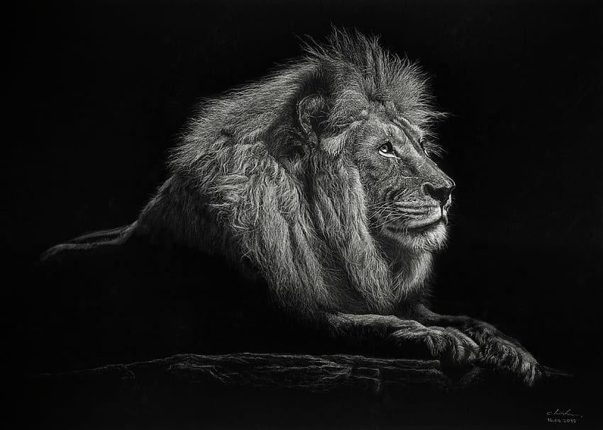 Art, Lion, Big Cat, Bw, Chb, Mane, King Of Beasts, King Of The Beasts HD wallpaper