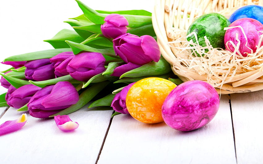 Tulips purple flowers spring holiday Easter eggs HD wallpaper | Pxfuel