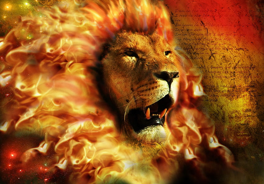 Fire Lion background, Cool Digital Lion HD wallpaper | Pxfuel