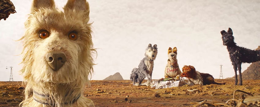 Isle of Dogs Review: Wes Anderson Features Very Good Dogs, Dog Aesthetic HD wallpaper