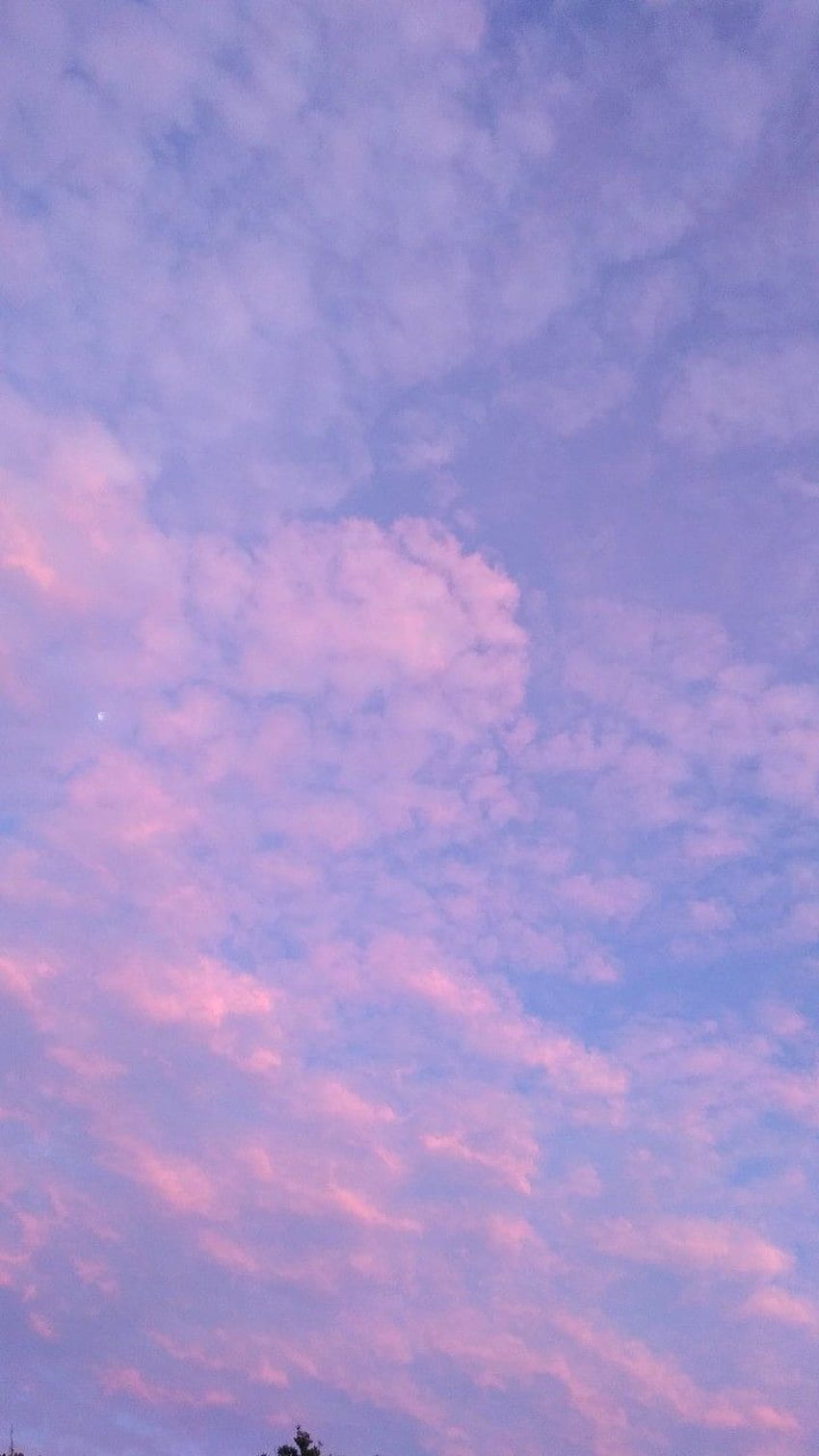 Chmura estetyczna. Chmury iPhone, Fioletowy iPhone, Różowy iPhone, Niebieskie i fioletowe niebo Tapeta na telefon HD