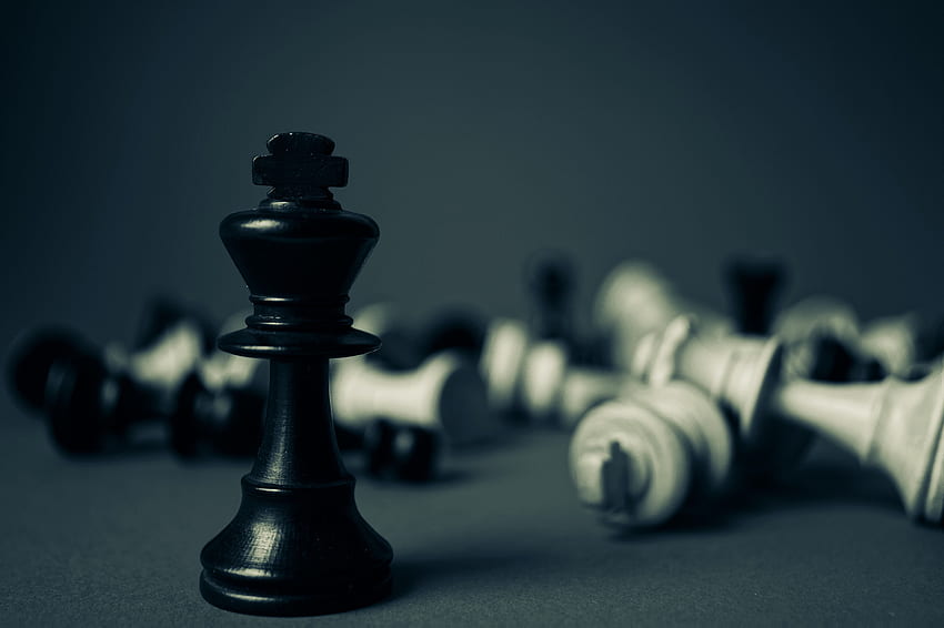 Wallpaper macro, horse, the game, chess, Board, figure, black background,  king for mobile and desktop, section разное, resolution 1920x1080 - download