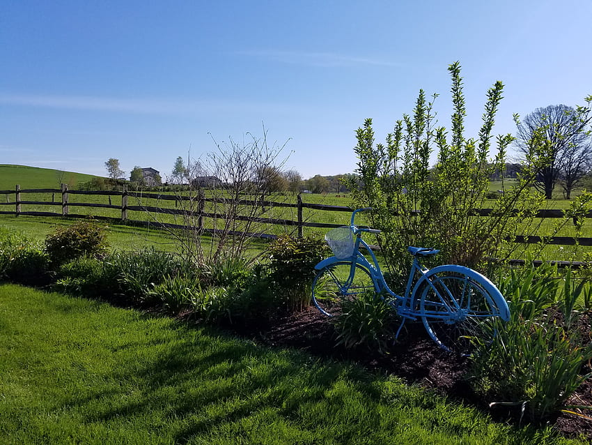 Natur, Gras, Fahrrad, Wiese, Weide HD-Hintergrundbild