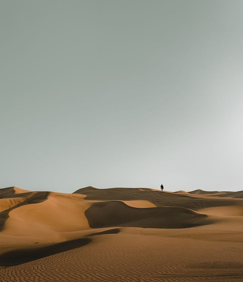 Arabian Desert, Dubai, Uae ., Arabian Desert Night HD phone wallpaper |  Pxfuel