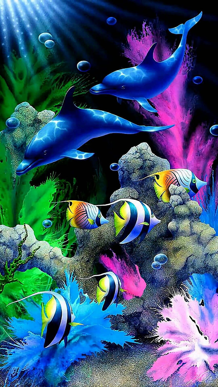 Cool Fish Backgrounds  Wallpaper Cave