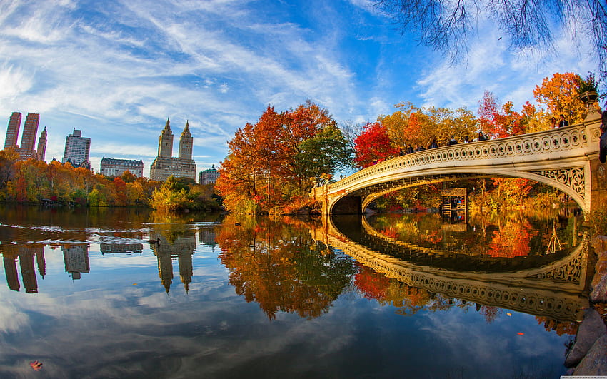 Autumn Central Park New York, Autumn in New York HD wallpaper | Pxfuel