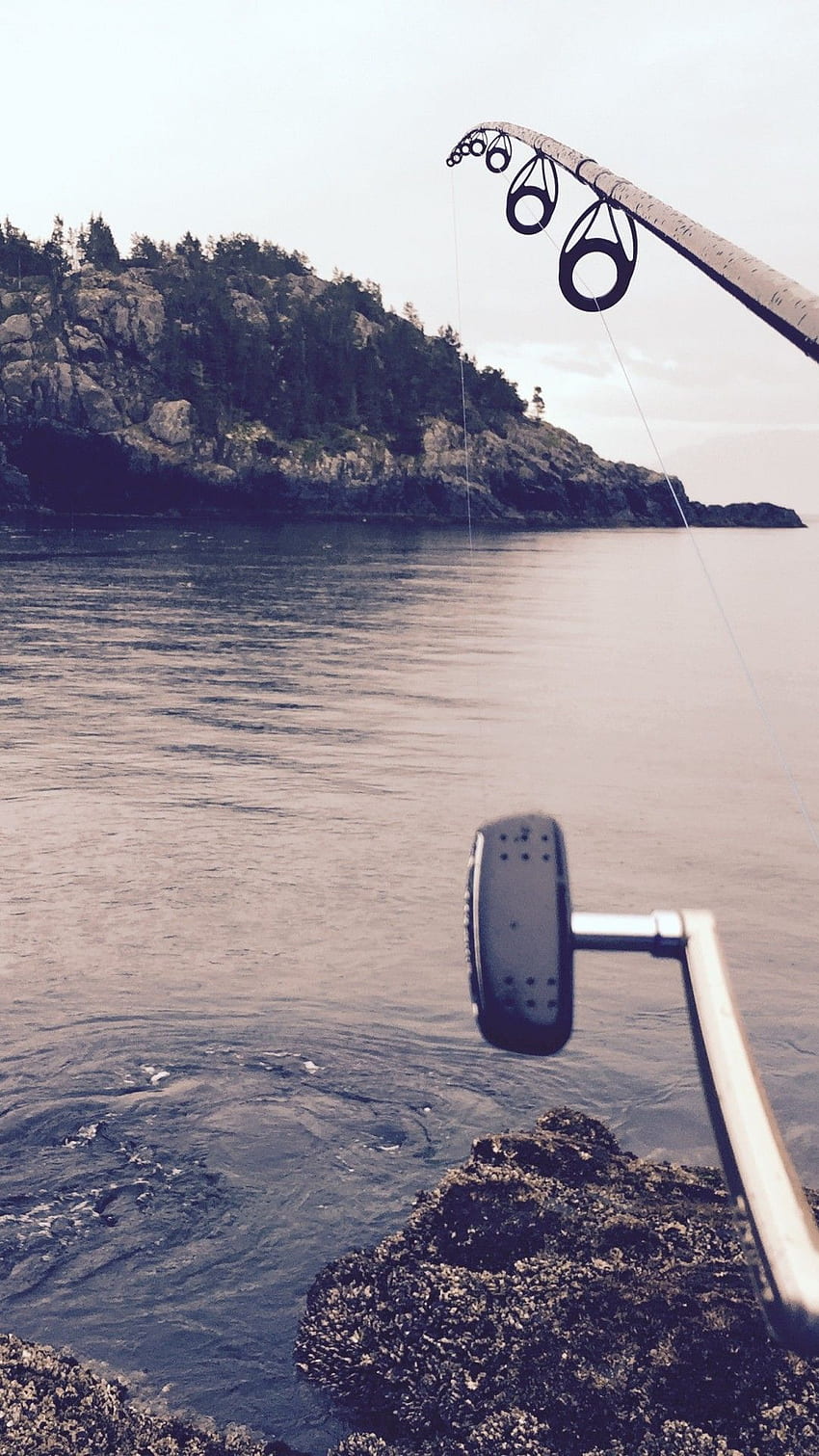 Pesca con Mosca para y Móviles iPhone 6 / 6S Plus - fondo de pantalla del teléfono