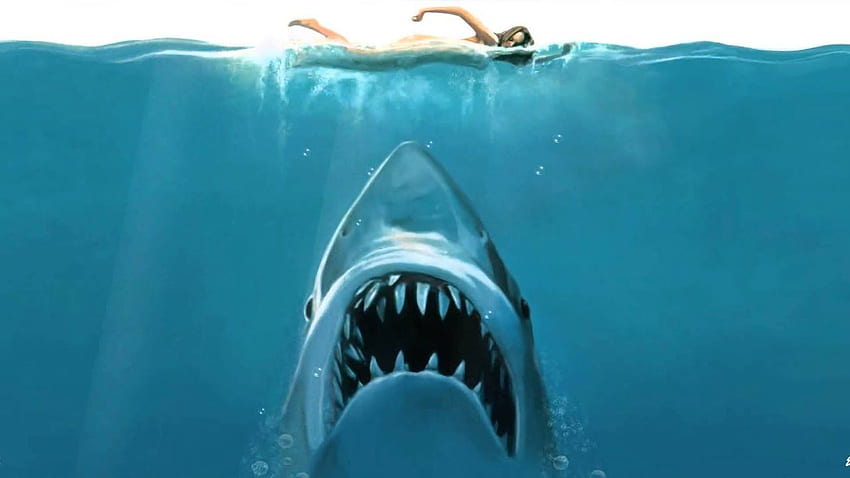 Shark Attack Animated, Cartoon Shark HD wallpaper