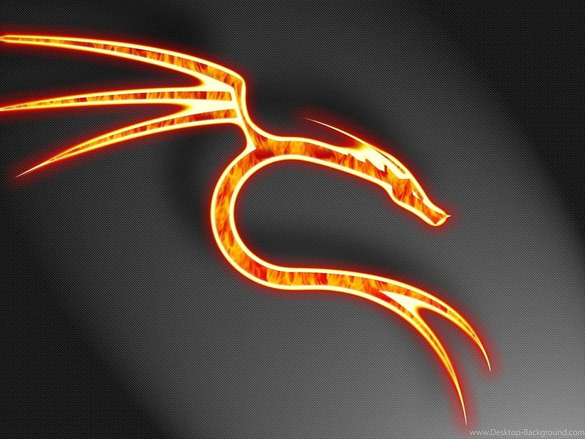 Fire Vs Water Dragon Djan And Abstract - Kali Linux HD wallpaper | Pxfuel