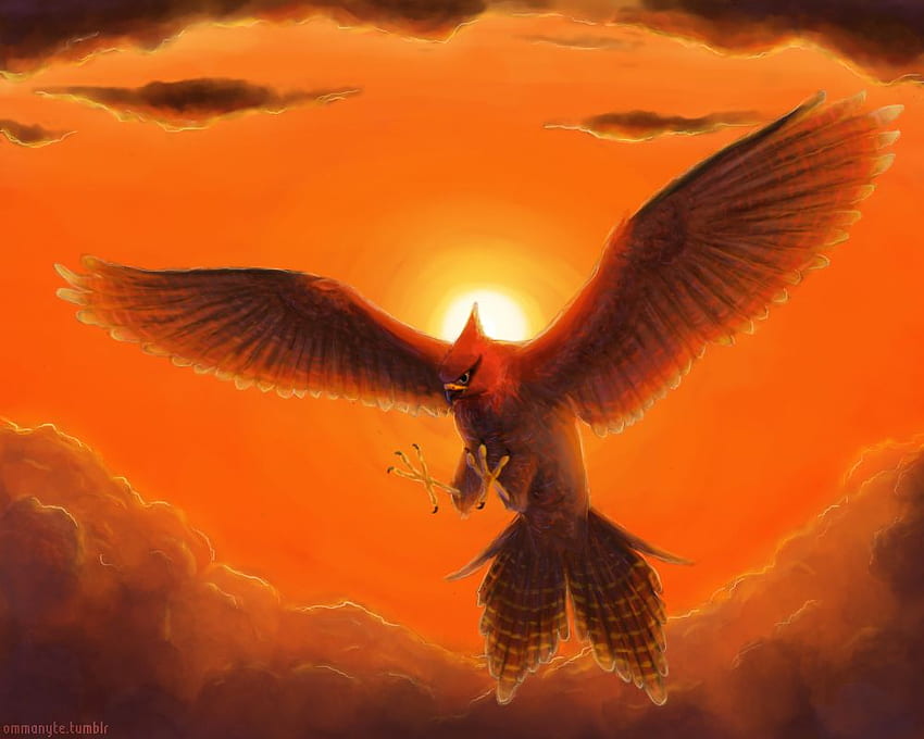 Best Talonflame . Pokemon, Peregrine falcon, Peregrine HD wallpaper