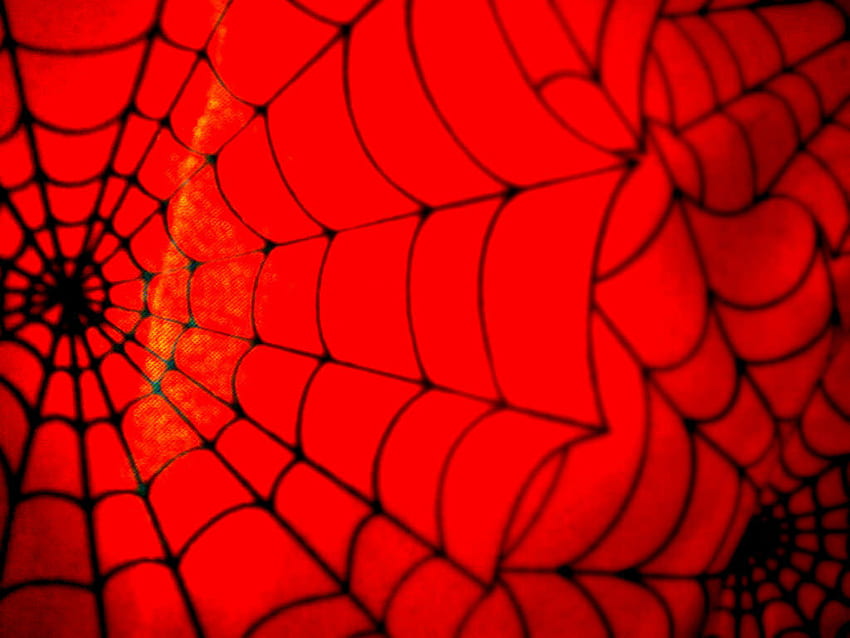 Spiderman Web 10. für Ultra High, Spider-Man Web HD-Hintergrundbild