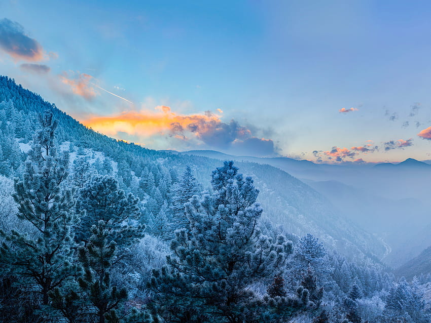 Зима, природа, дървета, планини, облаци, покрити със сняг, заснежени HD тапет