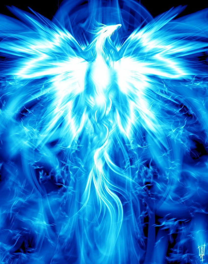 Animal Spirit Guide 의미와 해석: The Phoenix, Blue Phoenix HD 전화 배경 화면