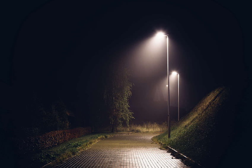 dark, drizzle, lights, mist, night, rain, street HD wallpaper