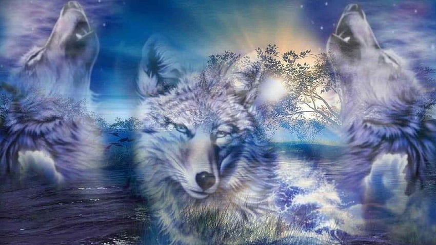 Wolf Love, Wolf Dream Catcher HD wallpaper