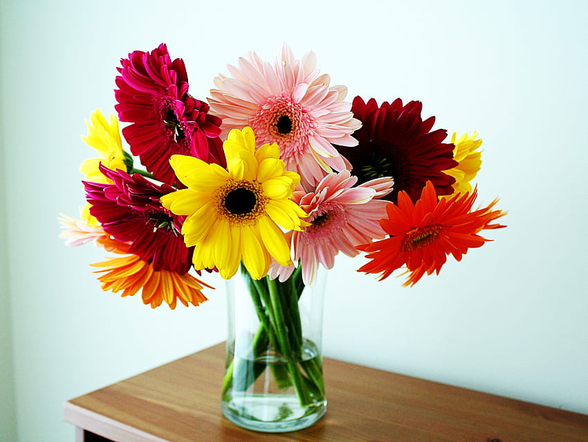 Blumen, Gerbera, Blumenstrauß, Tisch, Vase HD-Hintergrundbild
