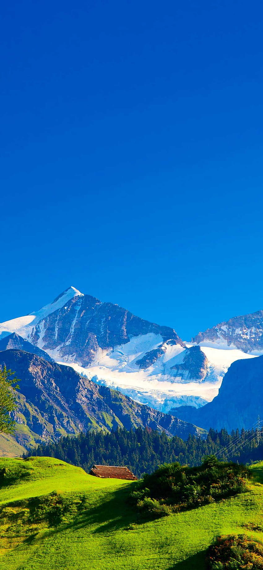 iPhone Pro 스위스 알프스 산맥 풍경. 스위스 알프스, 스위스, 산 풍경 HD 전화 배경 화면