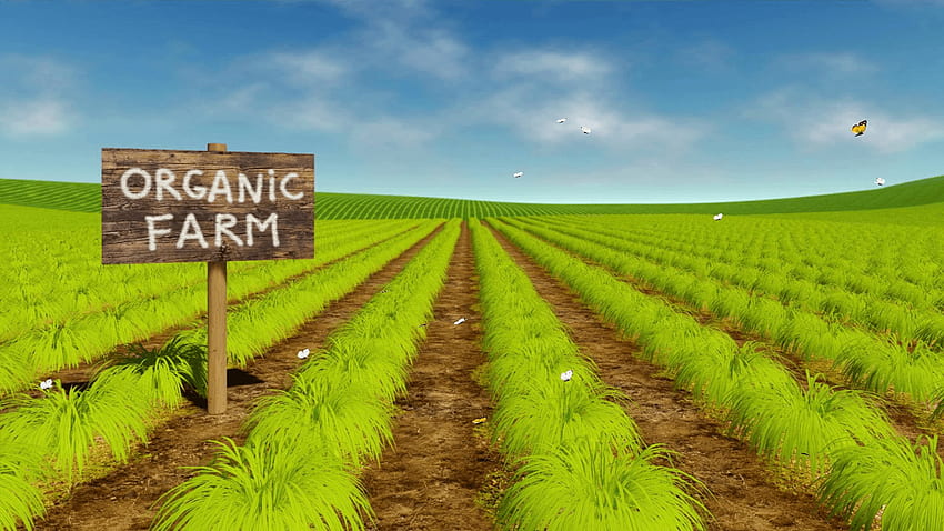 3D Agriculture, Farm Field HD wallpaper
