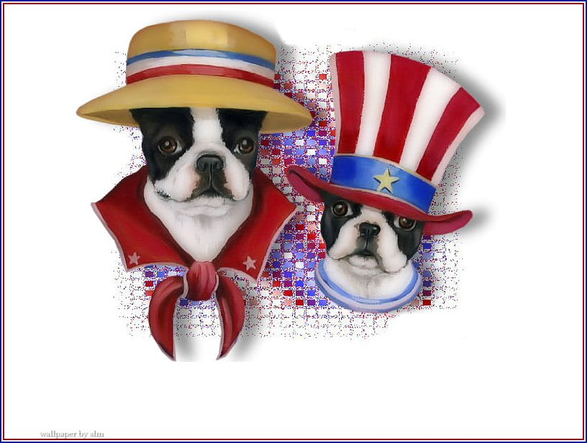 Carlins patriotiques, chapeau haut de forme, états-unis, 4 juillet, chiens patriotiques Fond d'écran HD