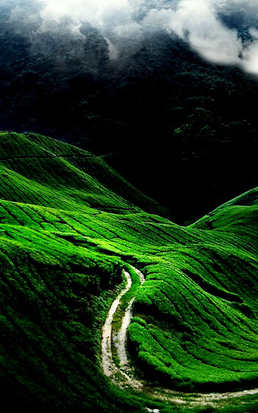Green Mountains Mobile Mobiles Wall - Nature HD phone wallpaper