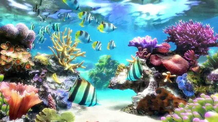 Fish Aquarium, Cartoon Aquarium HD wallpaper | Pxfuel