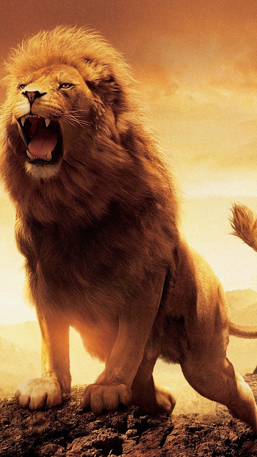 Lew, lew zły, ryczący Tapeta na telefon HD