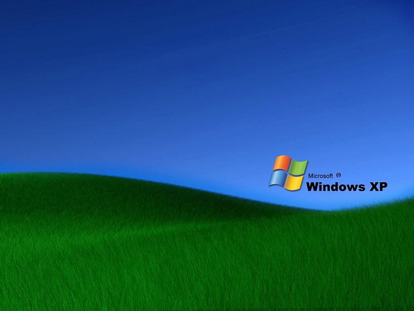 잔디 Windows XP , Windows XP 잔디 HD 월페이퍼