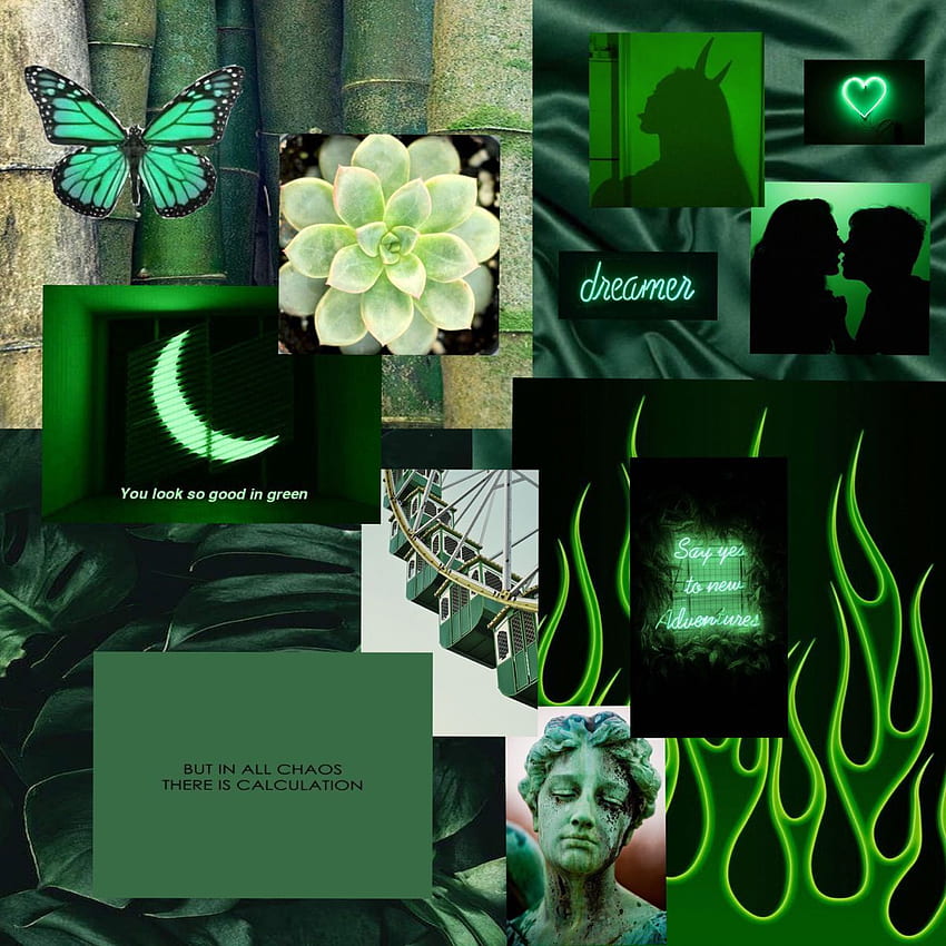 Green Aesthetic. Dark green aesthetic, Green aesthetic, Green aesthetic ...