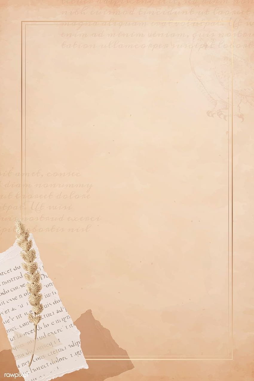 Periódico rasgado y tallo de flor en el viejo vector de banner de papel marrón. prima por rawp. de papel vintage, de papel viejo, Diseño de de papel, Papel viejo marrón fondo de pantalla del teléfono